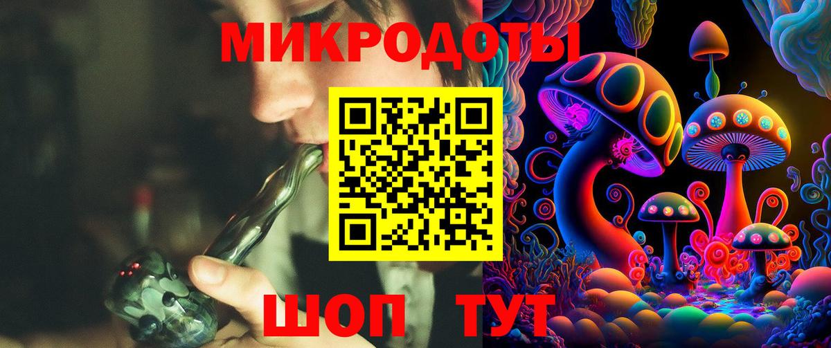 Галлюциногенные грибы Psilocybine cubensis Копейск